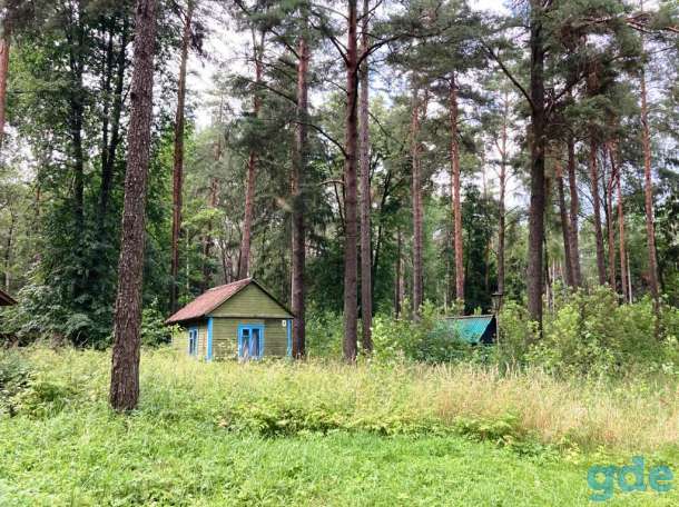 Продается детский оздоровительный лагерь в 20 км от Гродно, фотография 5