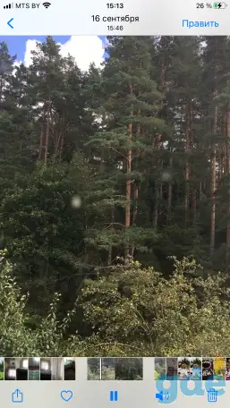 Продам дачу, Гродненская обл, горский р-н. д. Перелом с/и Юность, фотография 12