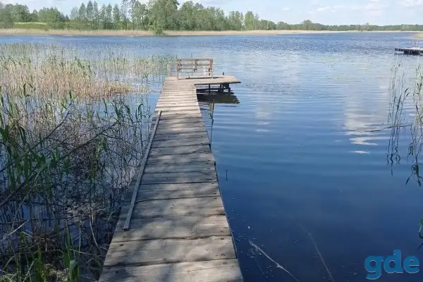 Гостевой дом В гостях у Маши, район, Слободковский сс, д. Шауры, д. 6, фотография 7