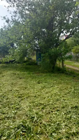 Покос травы, фотография 2