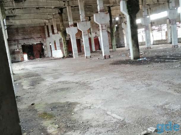 Продажа склада, р-н, д.Богатырская, ул.Центральная, 6Б, фотография 5