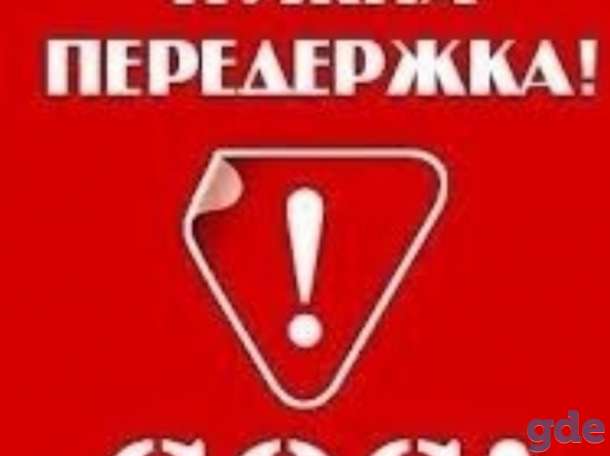 SOS.СРОЧНО. Ласковое Чудо. Щенок ОЧЕНЬ ИЩЕТ ДОМ., фотография 3