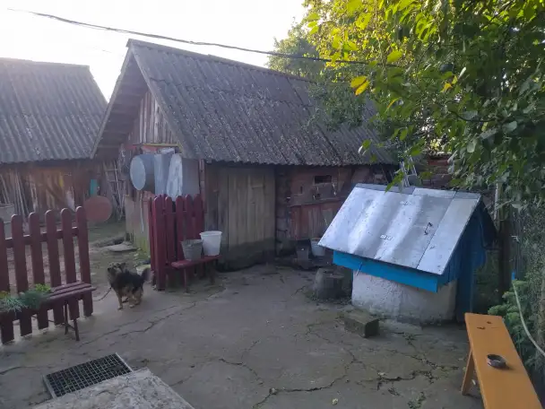 Продается деревянный дом с участком в д. Высокий Полк, Светлогорский р-н, Гомельская область, фотография 5