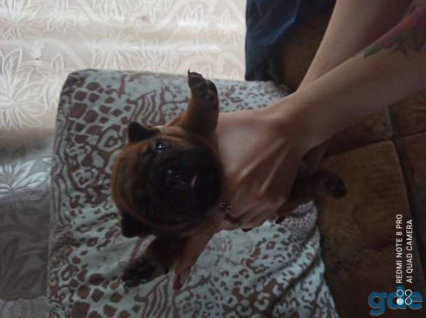 Продажа, фотография 4