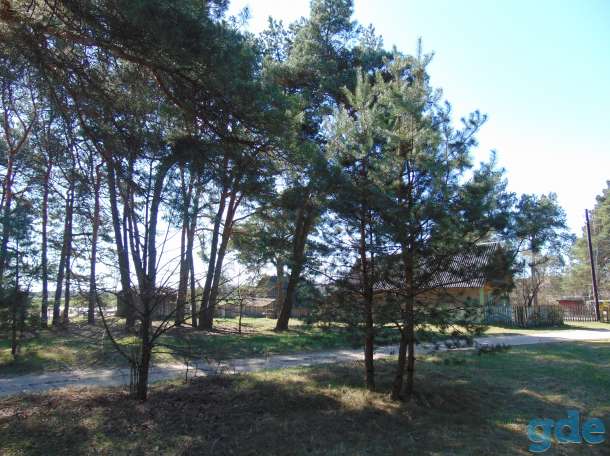 Продается дом в д. Прилуки, Кобринского р-на Брестской обл., фотография 1