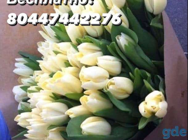 Цветы к 8 Марта, фотография 6