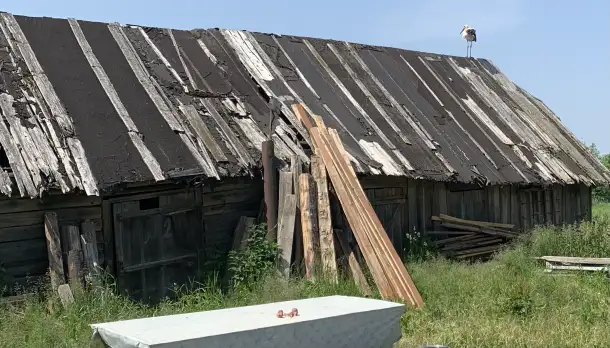 Дрова, фотография 1