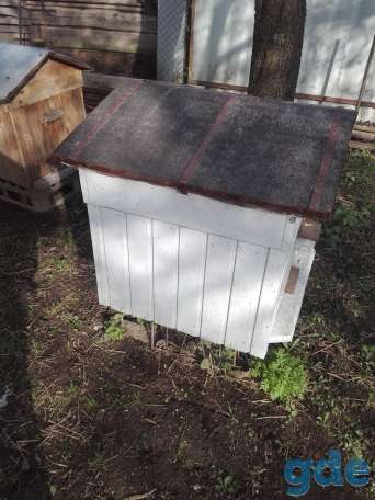 Пчелиные улья продам, фотография 1