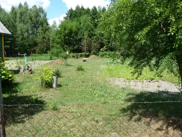 Дача с красивым, уютным домиком и большим огородом 12.4 сот. в СТ Сосновый бор-2, фотография 5