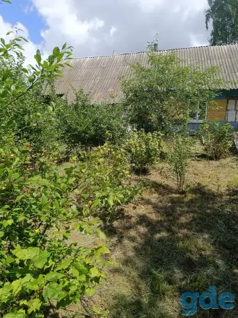 Продам дом с участком, д. мылые Завшицы, фотография 3