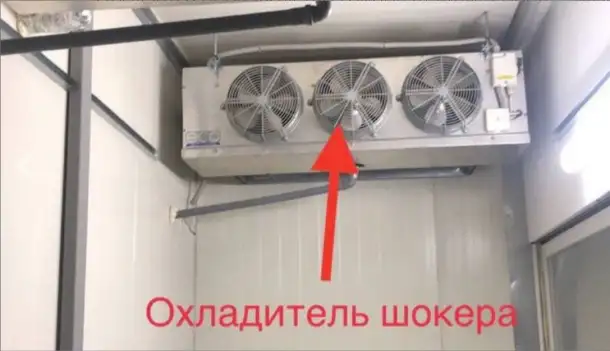 Продаю, ищу партнеров или инвесторов на действующий бизнес по выращиванию грибов шампиньонов и вешенки., фотография 7