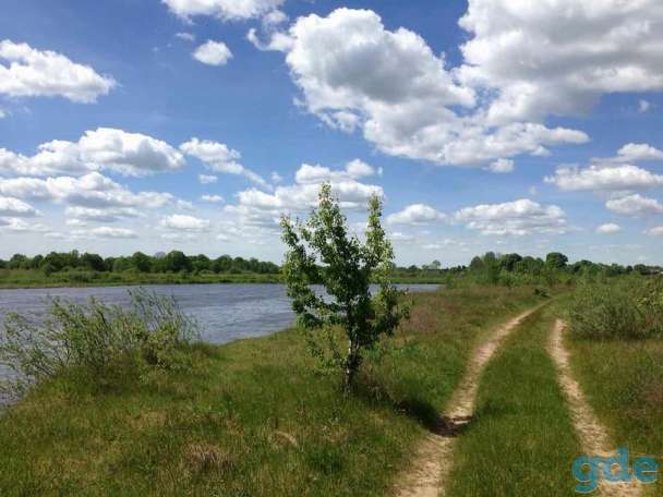 Дом в живописной деревне рядом с Неманом, р-н, д. Лотевка, фотография 14