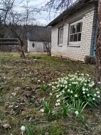 Дача кирпичная, 51.3, от МКАД 29, от электрички 3., фотография 1