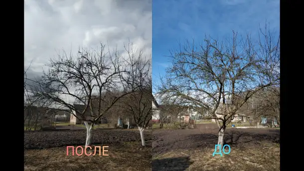 Садовник, уход за садом, фотография 4