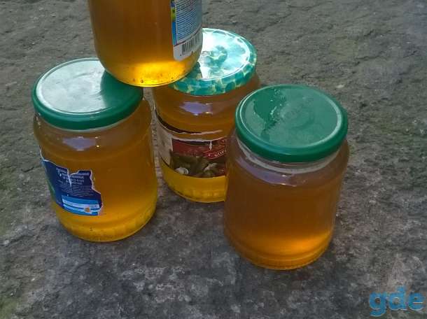 продам мед, фотография 1