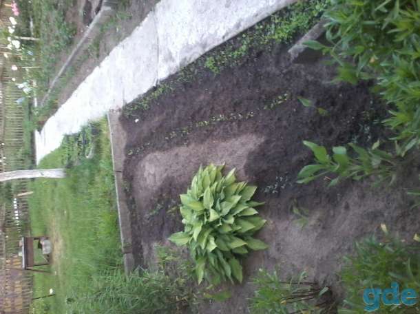 Продается дача, фотография 3