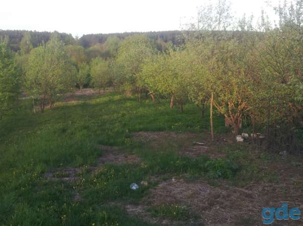 Продам земельный участок в д. Михановичи 15 сот., фотография 3