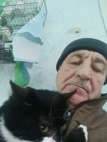 Милых котиков ответственному человеку, фотография 1