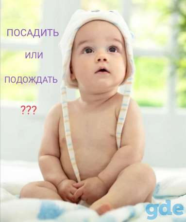 Консультация специалиста по двигательное развитию малыша, фотография 2