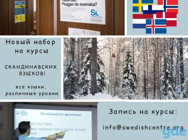 Курсы шведского, норвежского, финского, датского, нидерландского, исландского, фотография 1
