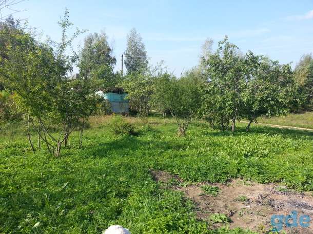 Продам участок 10 соток, 21 км от МКАД., с/т Лесное, фотография 4