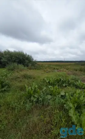 Продам участок, Пуховичский ройон, аг  Горелец, фотография 1