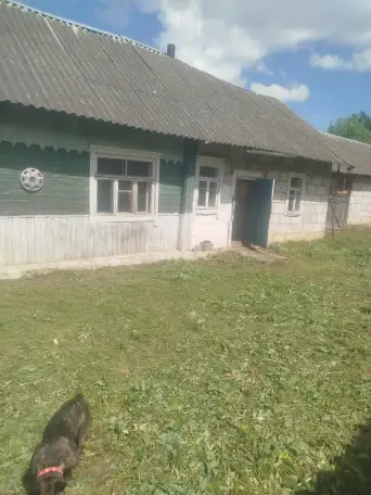 Продажа, Молодечненский район деревня Редьки, фотография 5