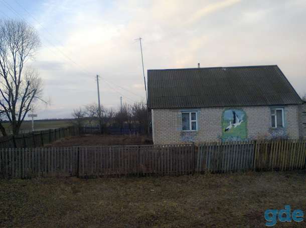 Продам дом, Могилевская область, Дрибинский район, деревня Покутье, фотография 2