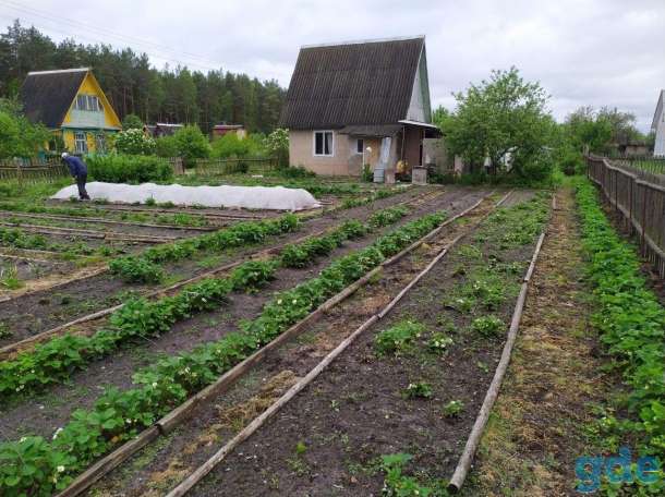 Продам дачу, Рогачев, С/т «Оптик», ст.Старосельский, 4 соток, фотография 5