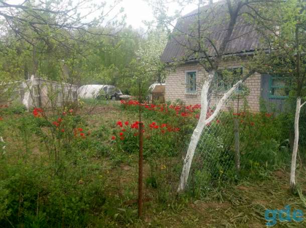 Продам Дачу, Садовое товарищество Родник-2 (д.Берестеново), 15км от Орши, фотография 4