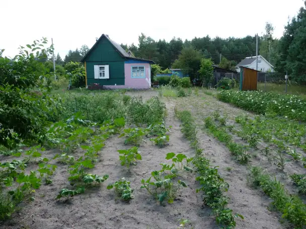Дача с красивым, уютным домиком и большим огородом 12.4 сот. в СТ Сосновый бор-2, фотография 8