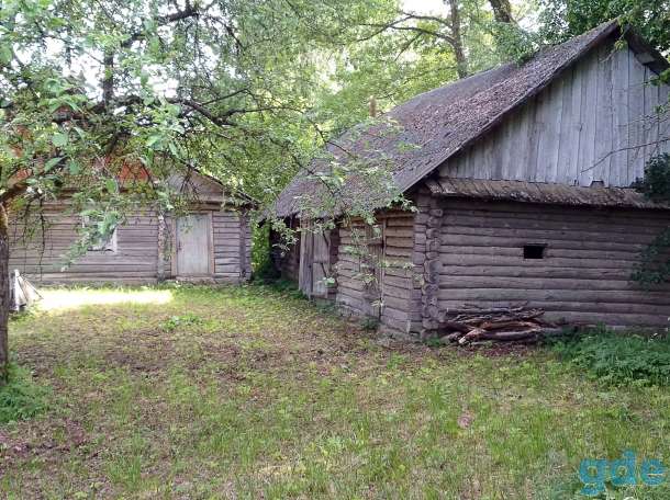 Дом у реки, д.Русаки Поставского района, курапольский с/с, фотография 5