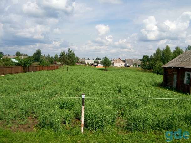 Продажа недвижимости, Минская область, Столбцовский район, д. Николаевщина, фотография 9