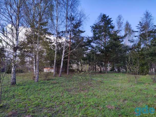 Продам участок в с/т. Криничное-94 (Столбцы), фотография 8