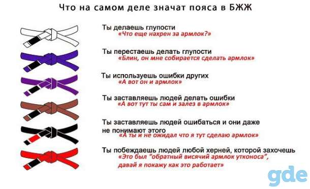 Ищу товарища для тренировки (грэпплинг, вольная), фотография 1