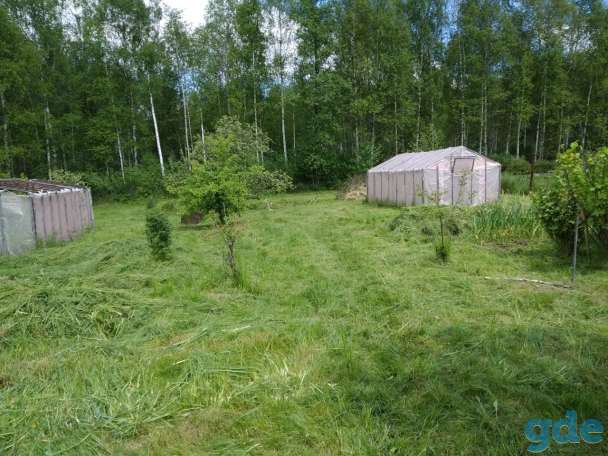 Продам дачу 10 соток, Бецкое, Полоцкий район, СТ Журавинка, фотография 4