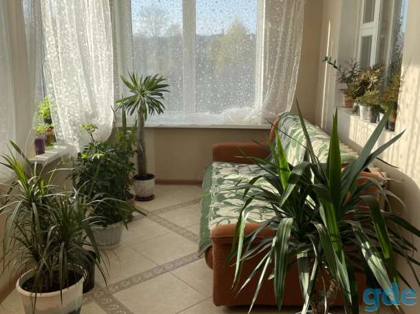 Продам жилой дом, ул. Луначарского д.16, фотография 8