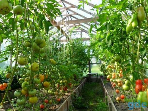 Продажа участка с домом, Минская обл. Вилейский р-н.Дер.Заозерье, ул Центральная, 12, фотография 9