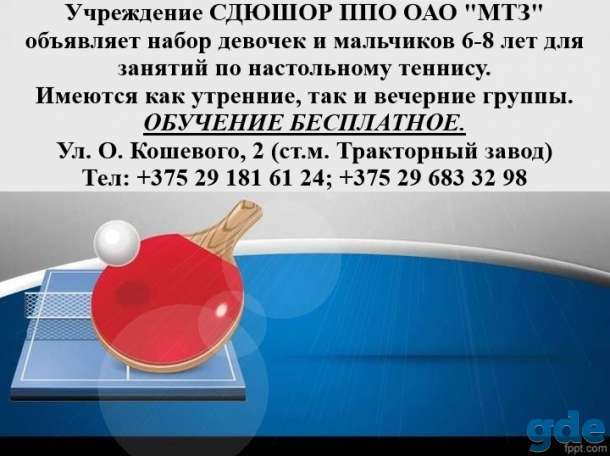 Спорт, фотография 2