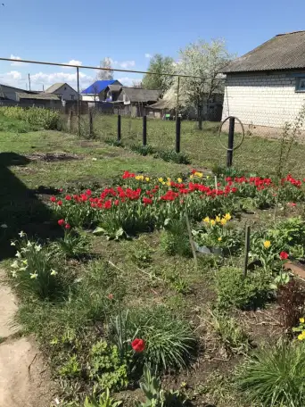 Продаётся дом, д. Дворец, Гомельская обл.,Рогачевский р-н, фотография 2