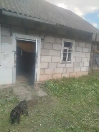Продажа, Молодечненский район деревня Редьки, фотография 6