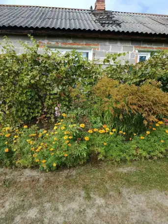 Аренда дома в Лельчицах,, фотография 3