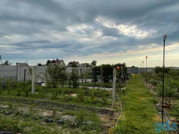 Продам дом с большой плантацией ягод и садом, Корма, фотография 3