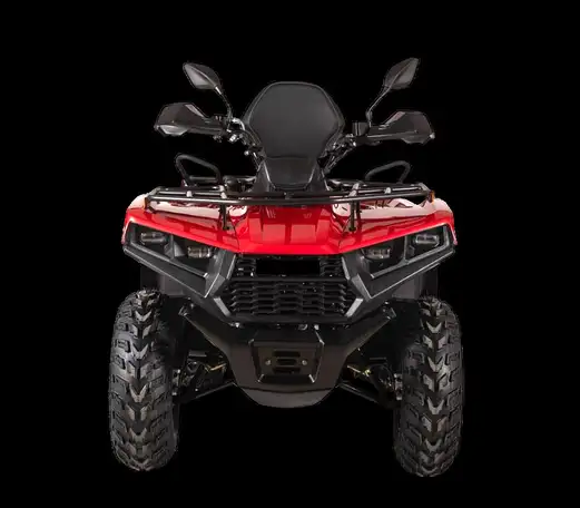 Квадрицикл bizon yk250 lux efi, фотография 4