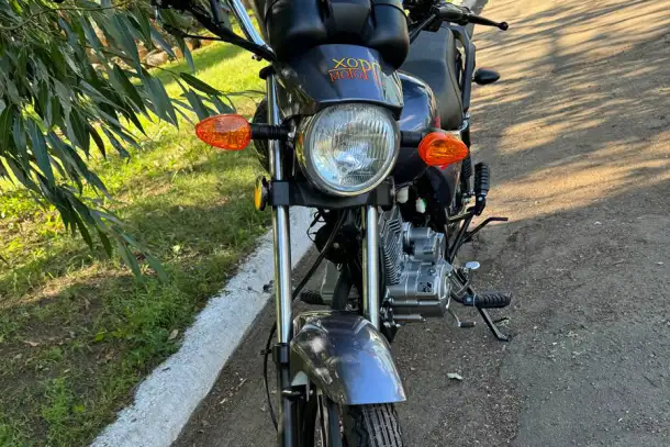 Мотоцикл Хорс Z 150 серый 150 см3, фотография 3