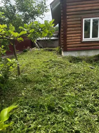 Продаётся дом.Озеро во дворе.ловля рыбы с пирса, Бешенковический район Островно, фотография 4