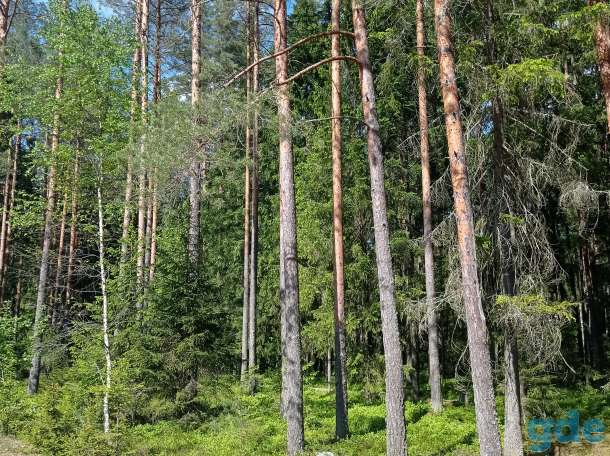 дом, Д.Панкры ,Ул Полевая 11, фотография 4