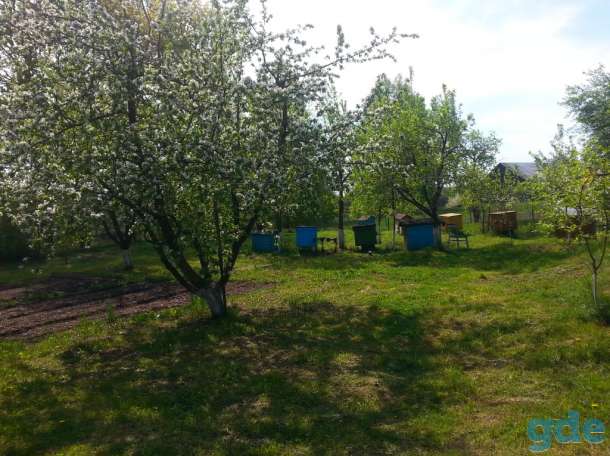 Продаю дом с участком, д.Бурносы, фотография 8