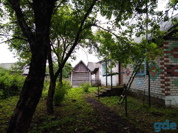 продаю жилой дом в д.боровцы городокского района, фотография 2
