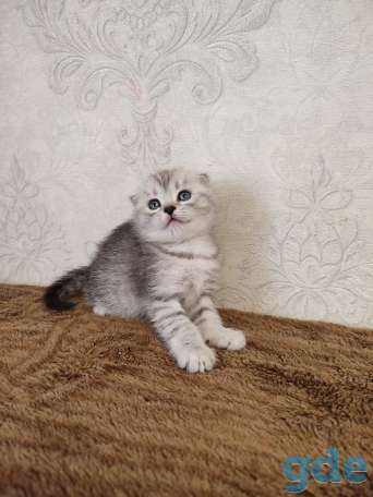 Продаю, фотография 3